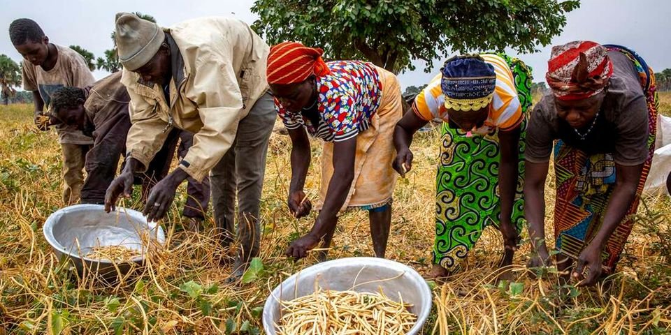 Enhancing Food Security